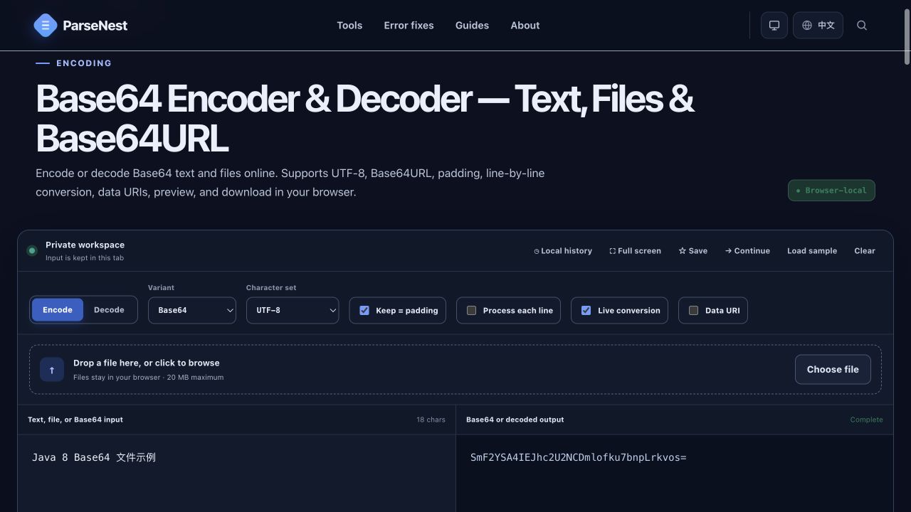 ParseNest Base64 tool encoding the Java 8 Chinese file example string